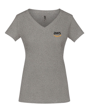 Picture of AWS Ladies V-Neck T-Shirt